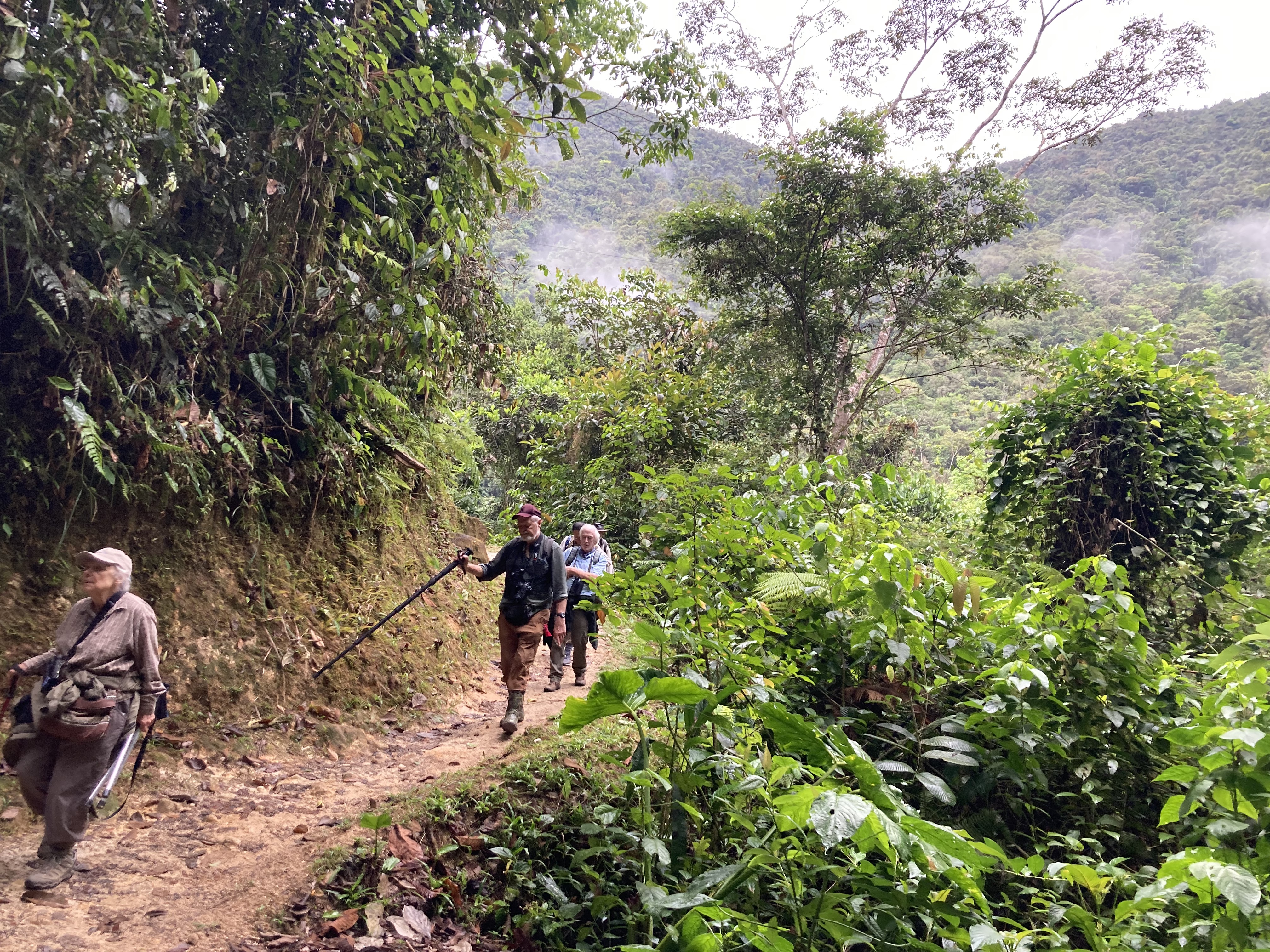 Rio Bombuscaro trail