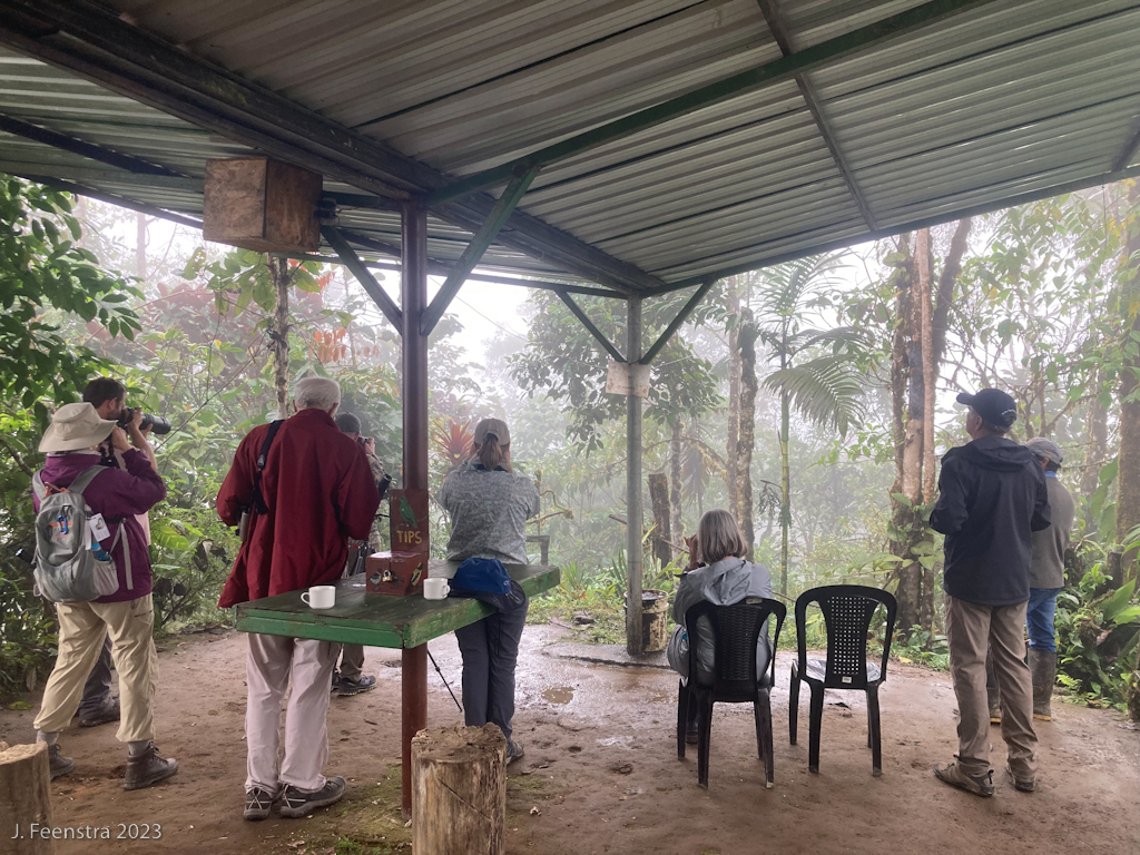 The gang hiding from the rain (and watching tanagers) at Amagusa