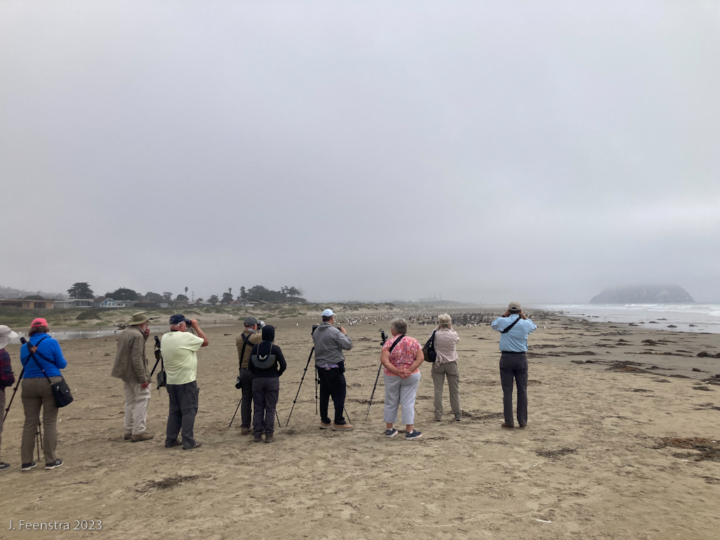 The group on Morro Strand