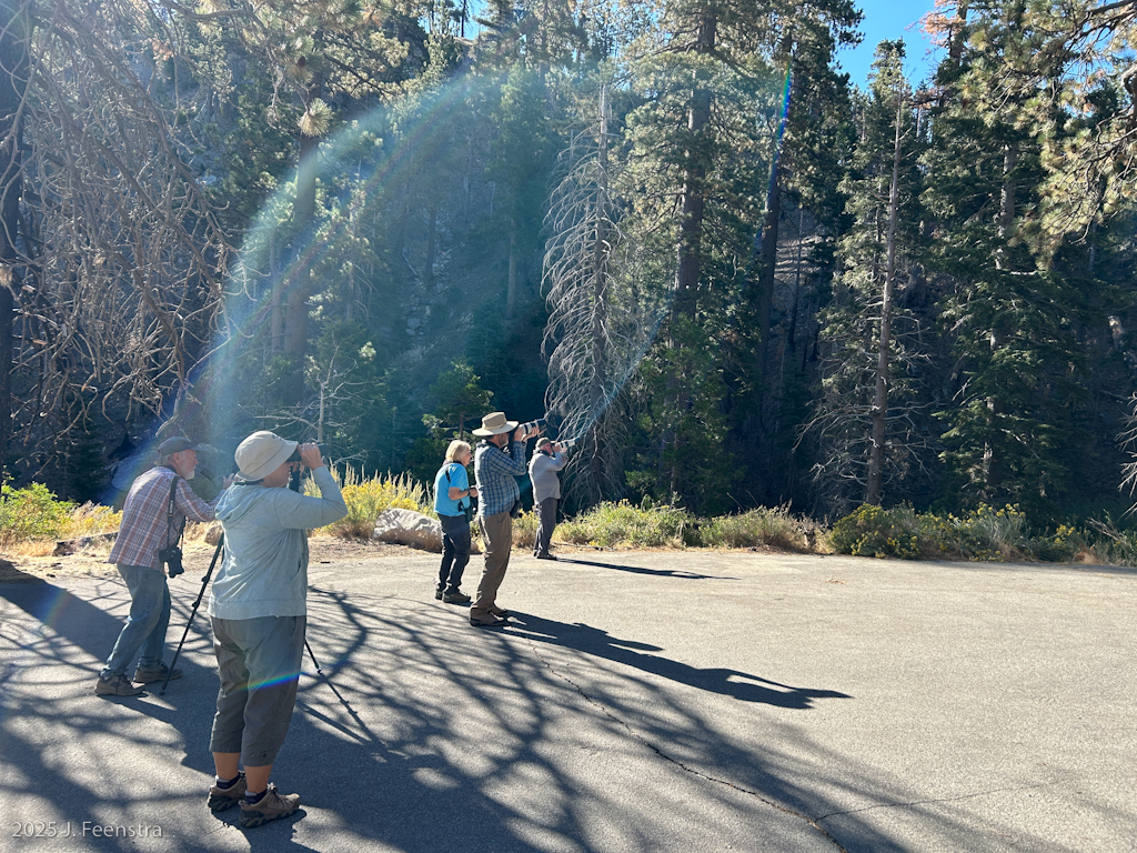 The gang in the San Gabriels