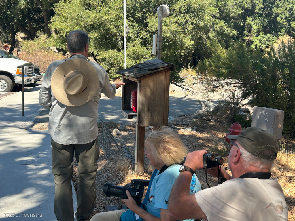 Charlie gets close to an Oak Titmouse