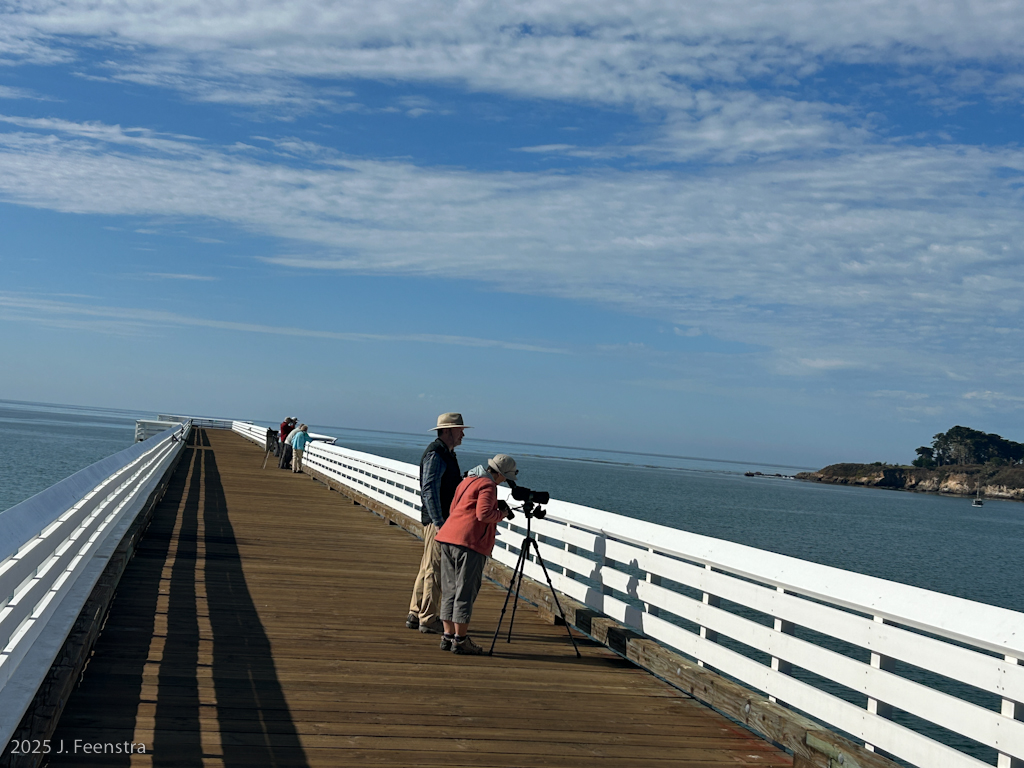 The gang looks over San Simeon pier