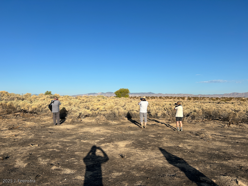 The gang looks at LeConte's Thrasher