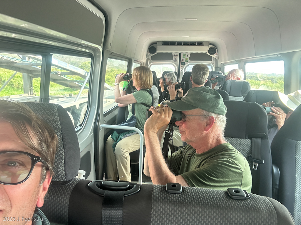 Highway birding