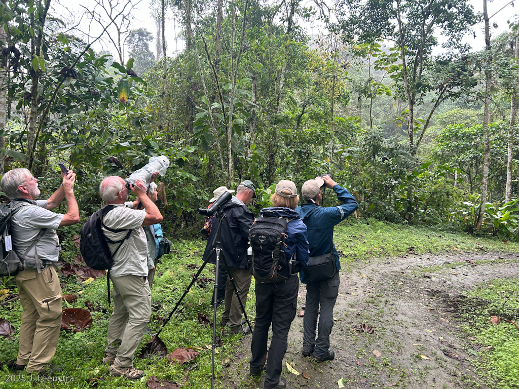 Reserva Buenaventura