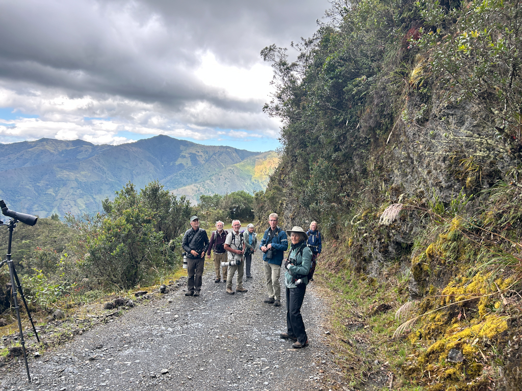 Podocarpus National Park