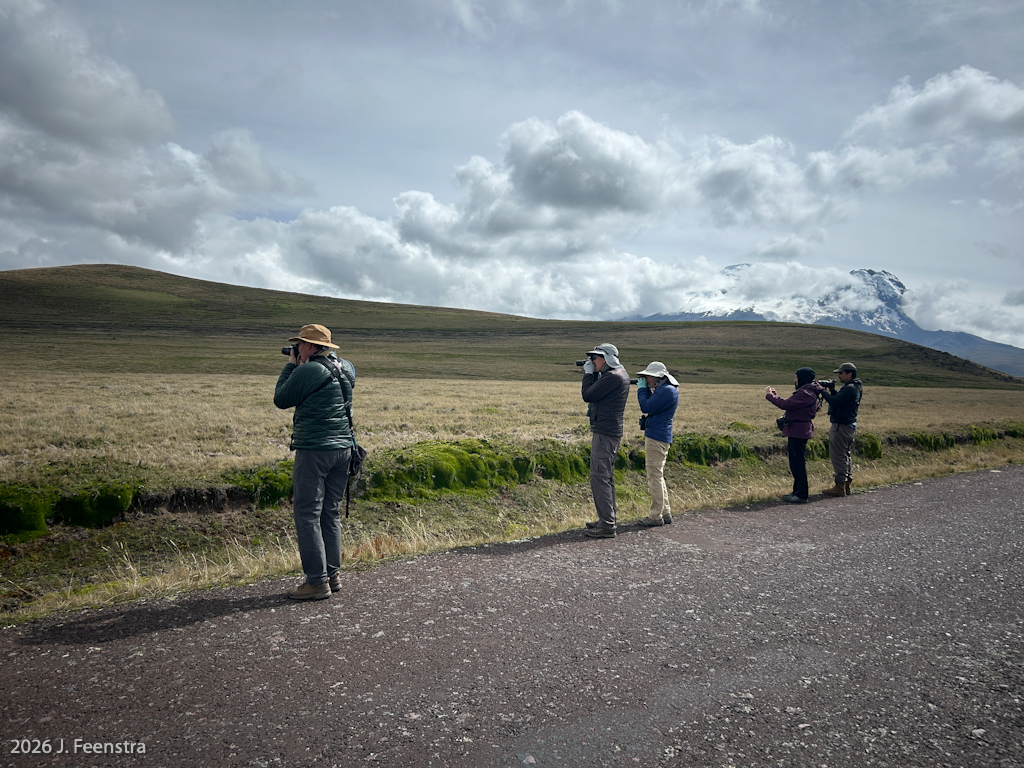 The gang at Antisana National Park
