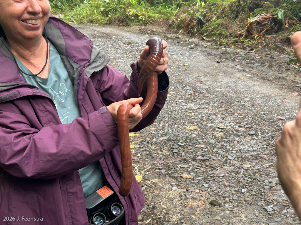 Sharon with the giant earthworm